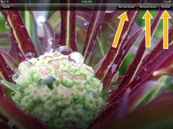 Use your own Photograph as your iPad Wallpaper