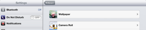 iPad Settings for viewing Wallpapers